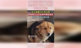 狗子今日爆料视频下载